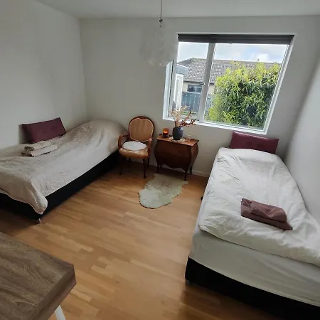 Cozy Close To Everything *